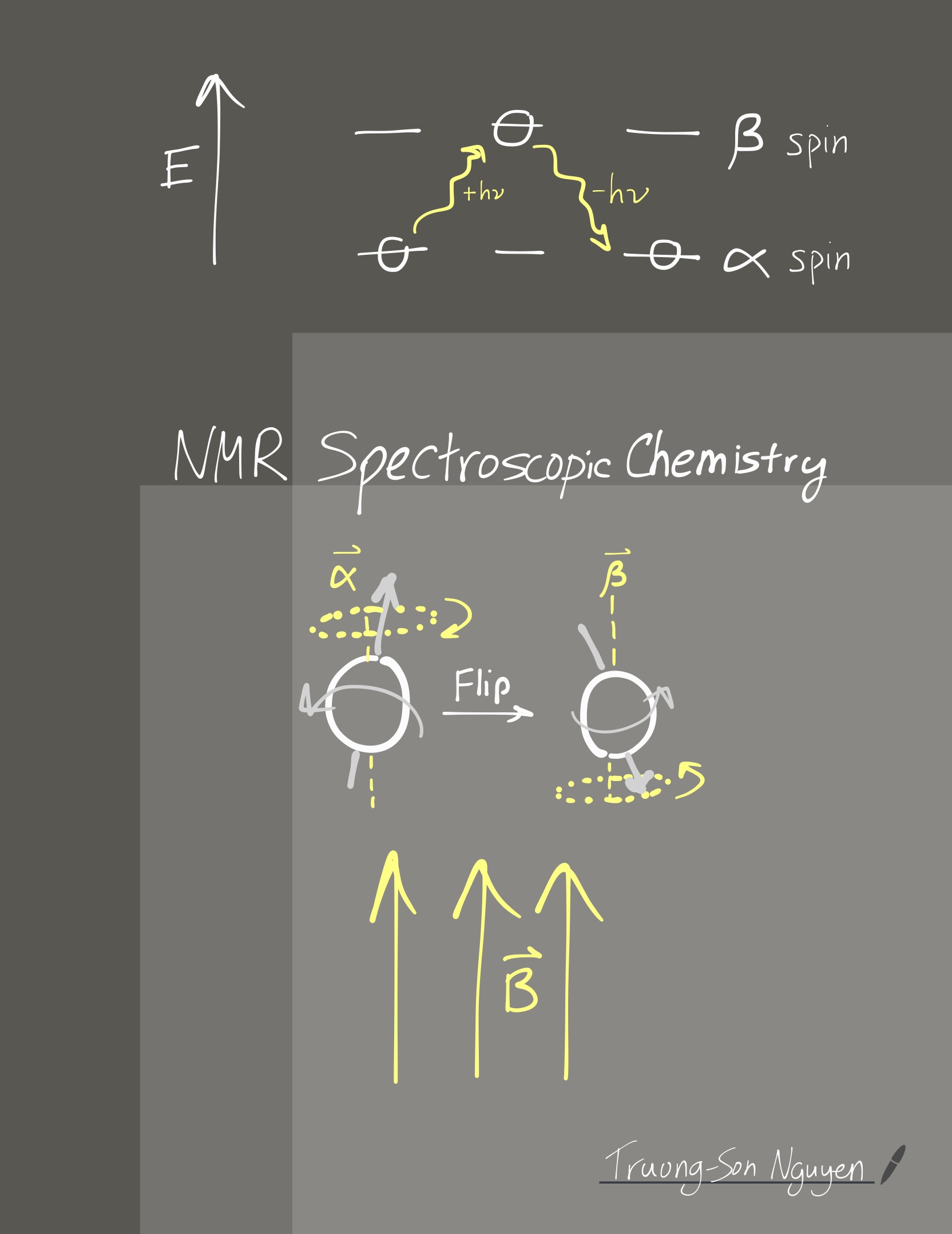 NMR Spectroscopic Chemistry-01